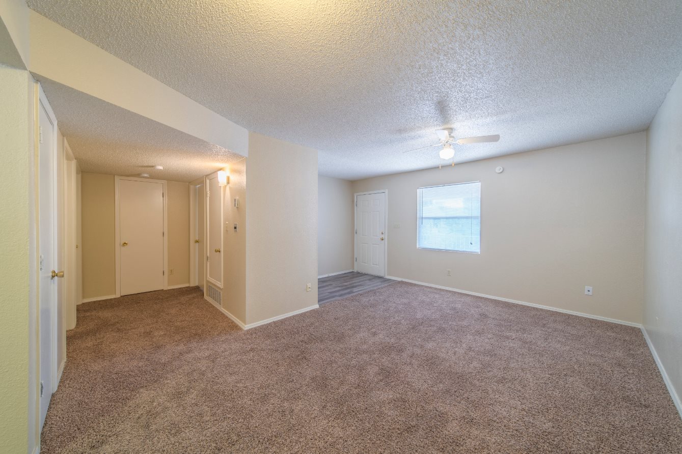 Gallery Photo 14